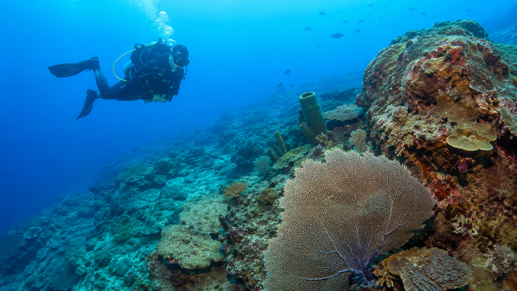 Scuba diver over a Pacific reef in a Coiba-inspired underwater travel visual