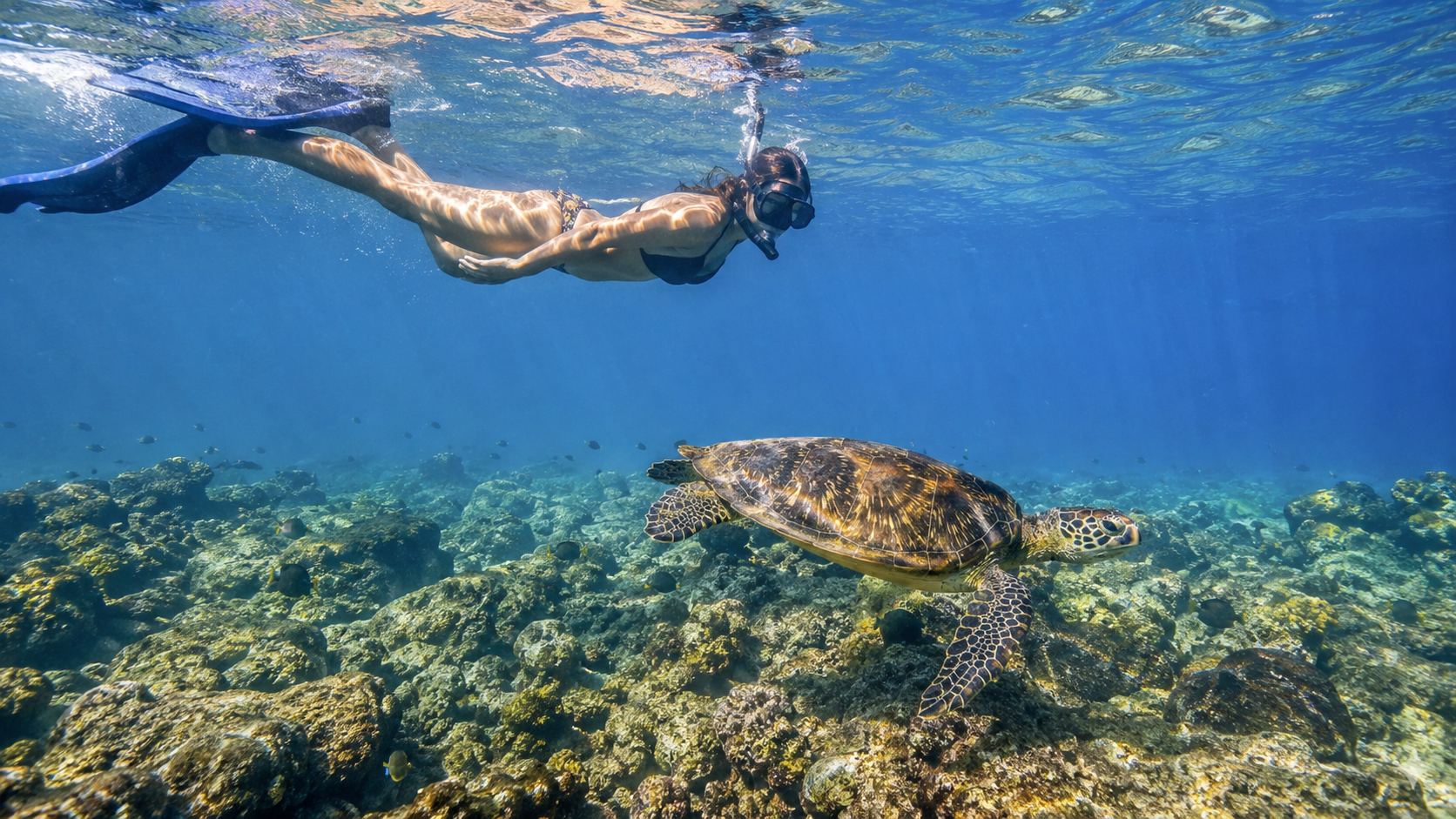 Snorkeler and sea turtle in clear tropical water in a Coiba-inspired visual