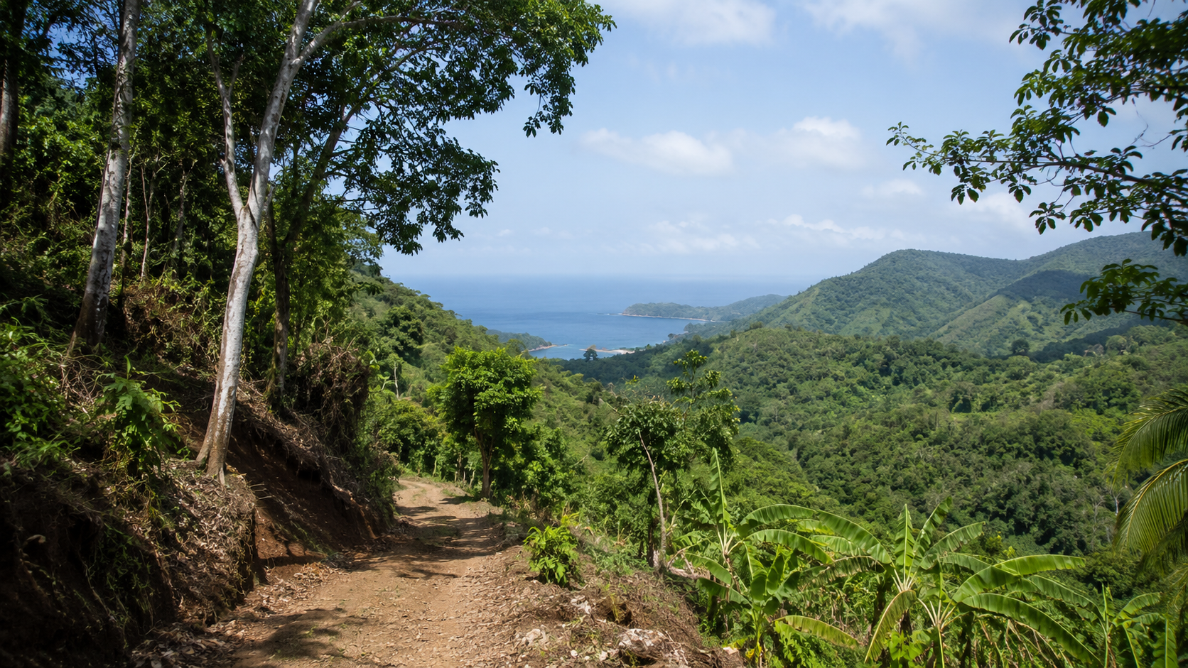 Tropical land and Pacific coast vegetation inspired by Santa Catalina, Panama